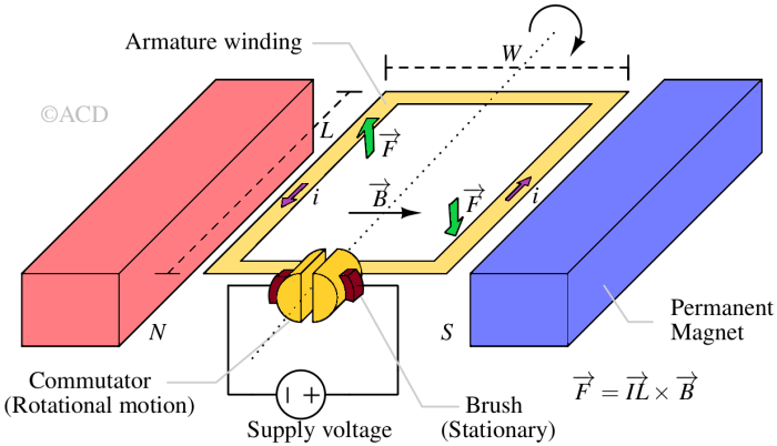 Working principle of DC motor. Showing direction of torque when a current carrying conductor is placed in a magnetic field.