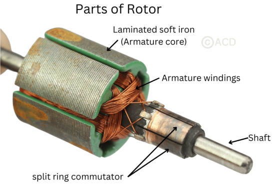 Rotor of a Brushed DC motor